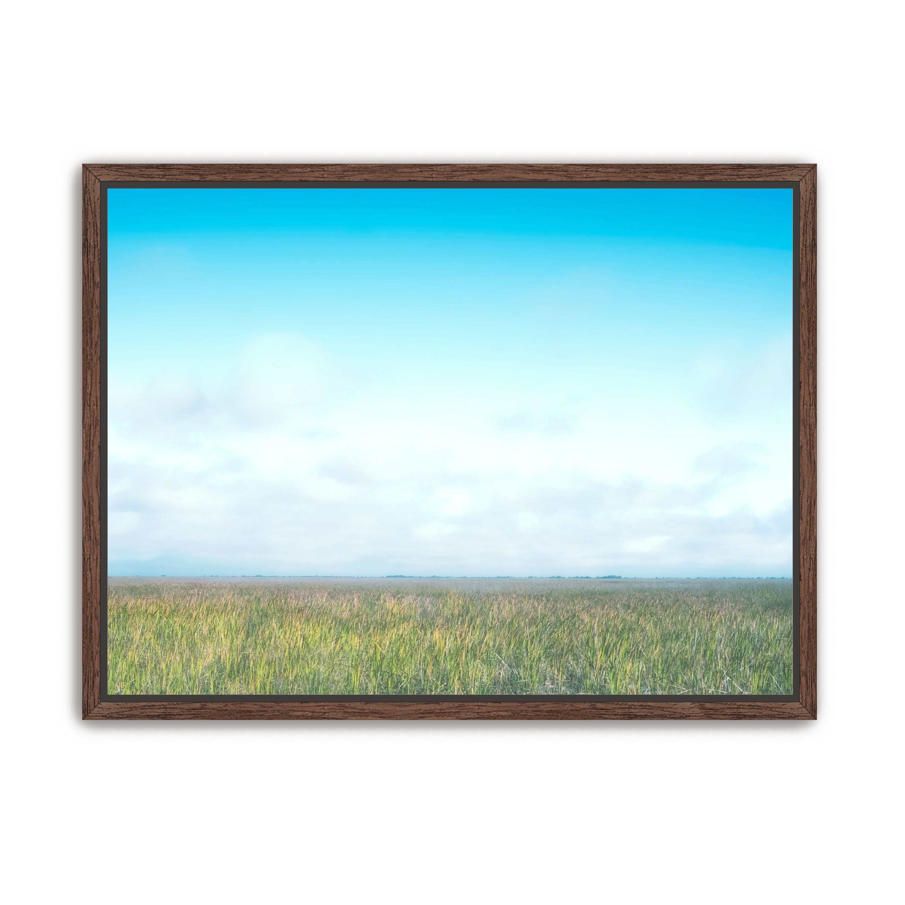 Grasslands