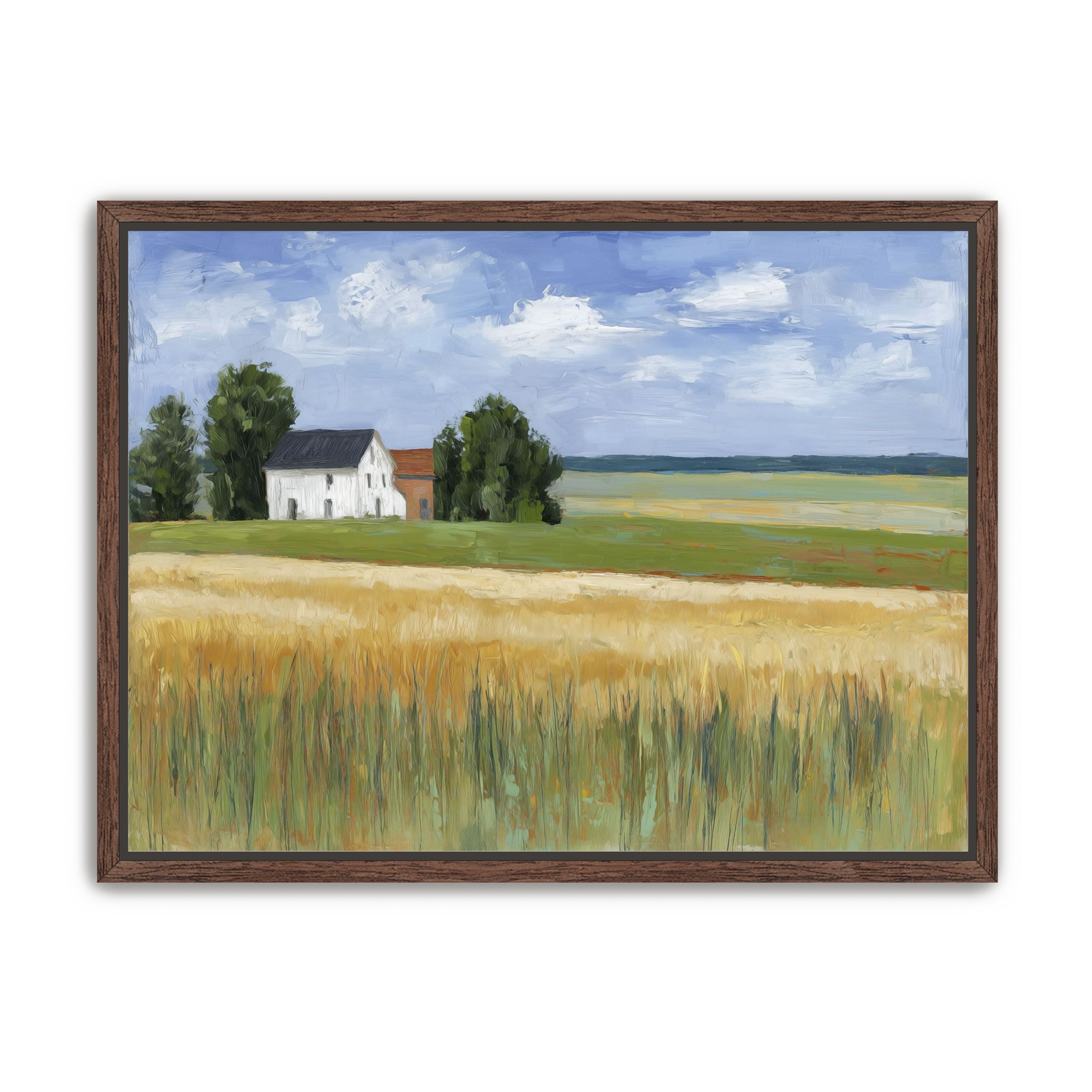 Grain Field Under Sun