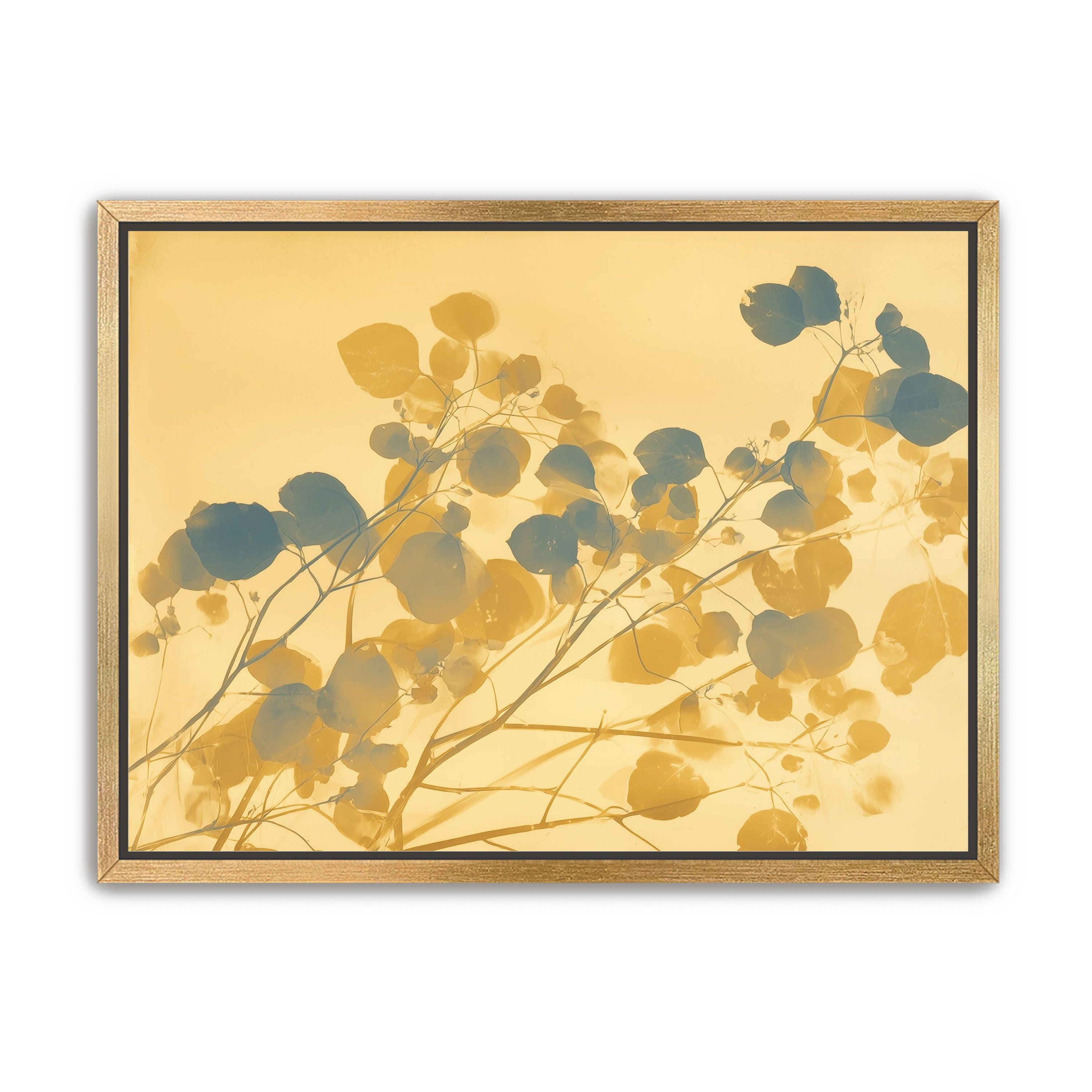 Branches Crossing the Field of Light
