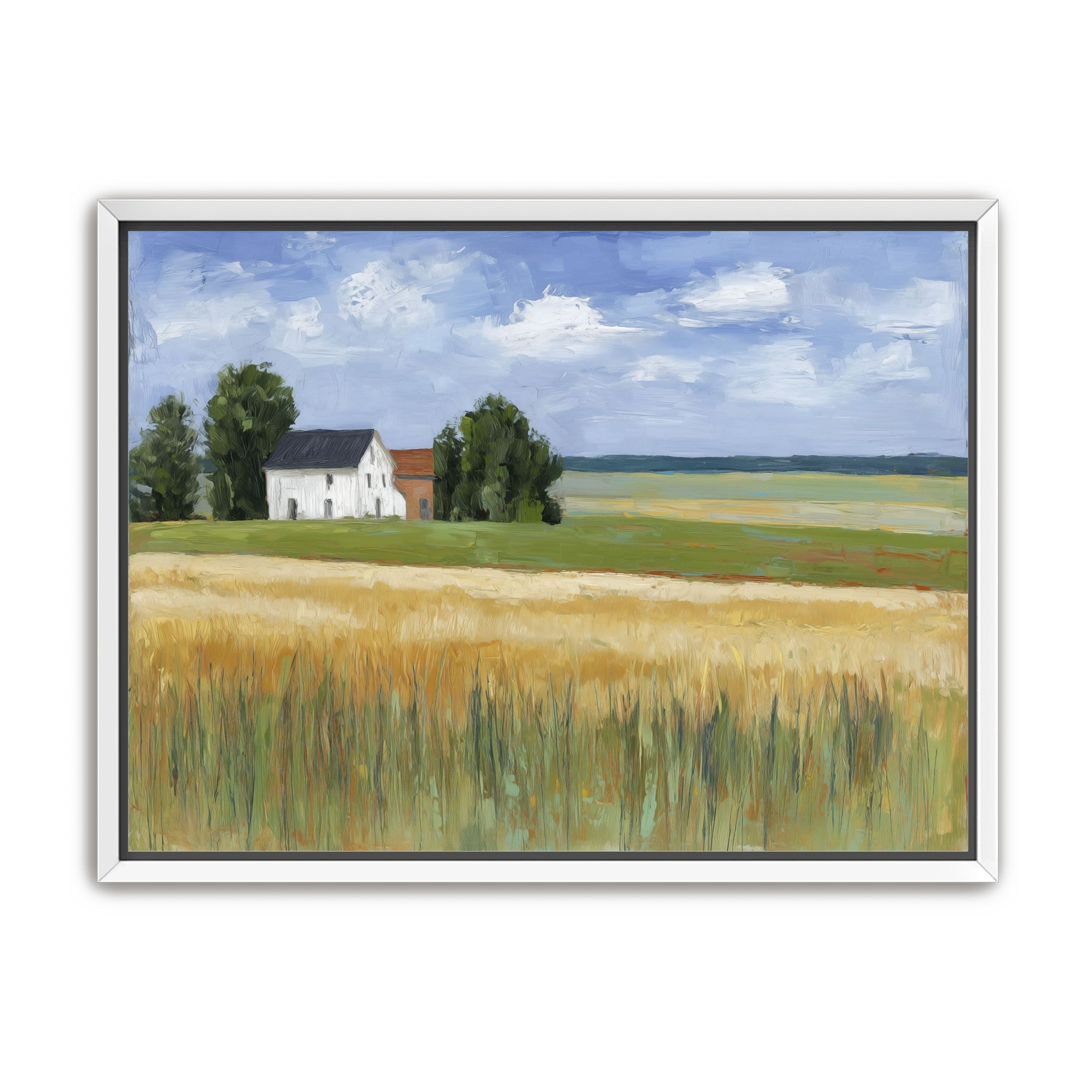 Grain Field Under Sun