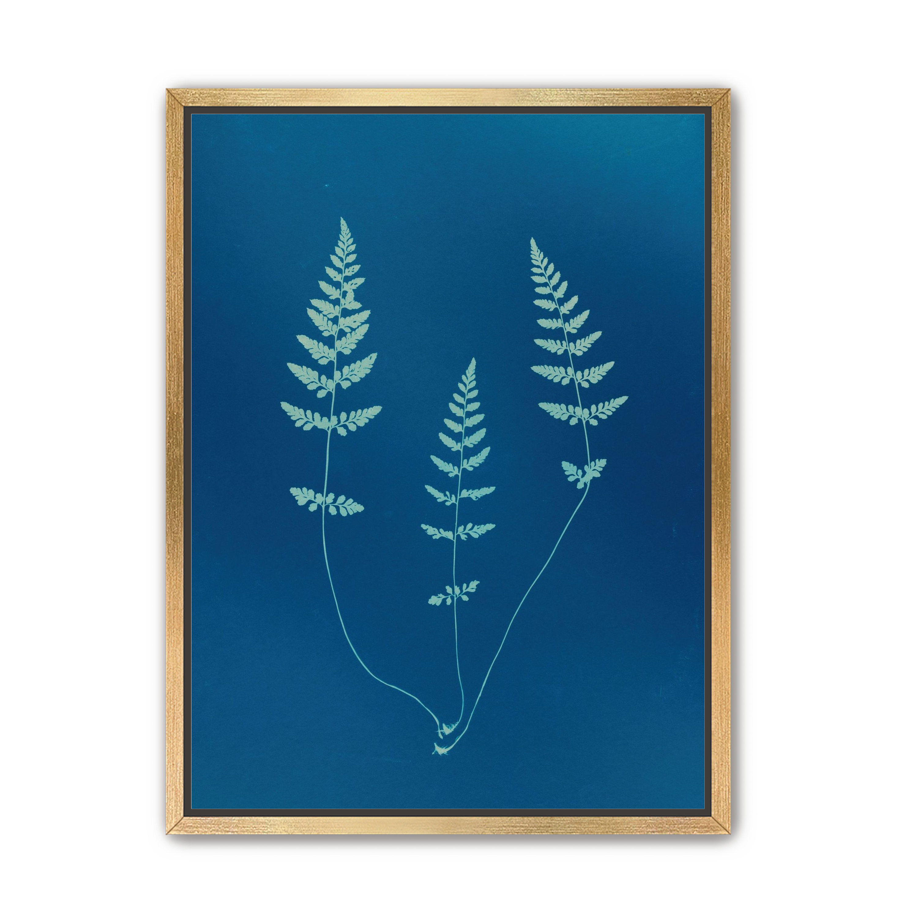 Three ferns in blue