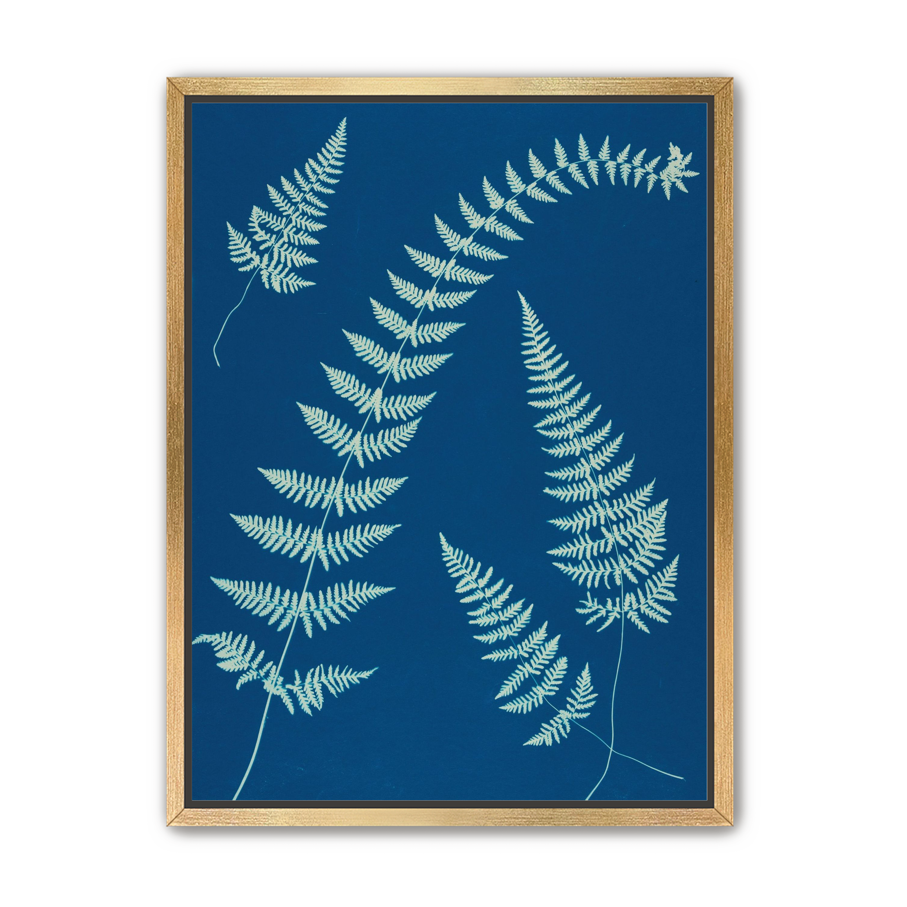 Fern shadows in blue
