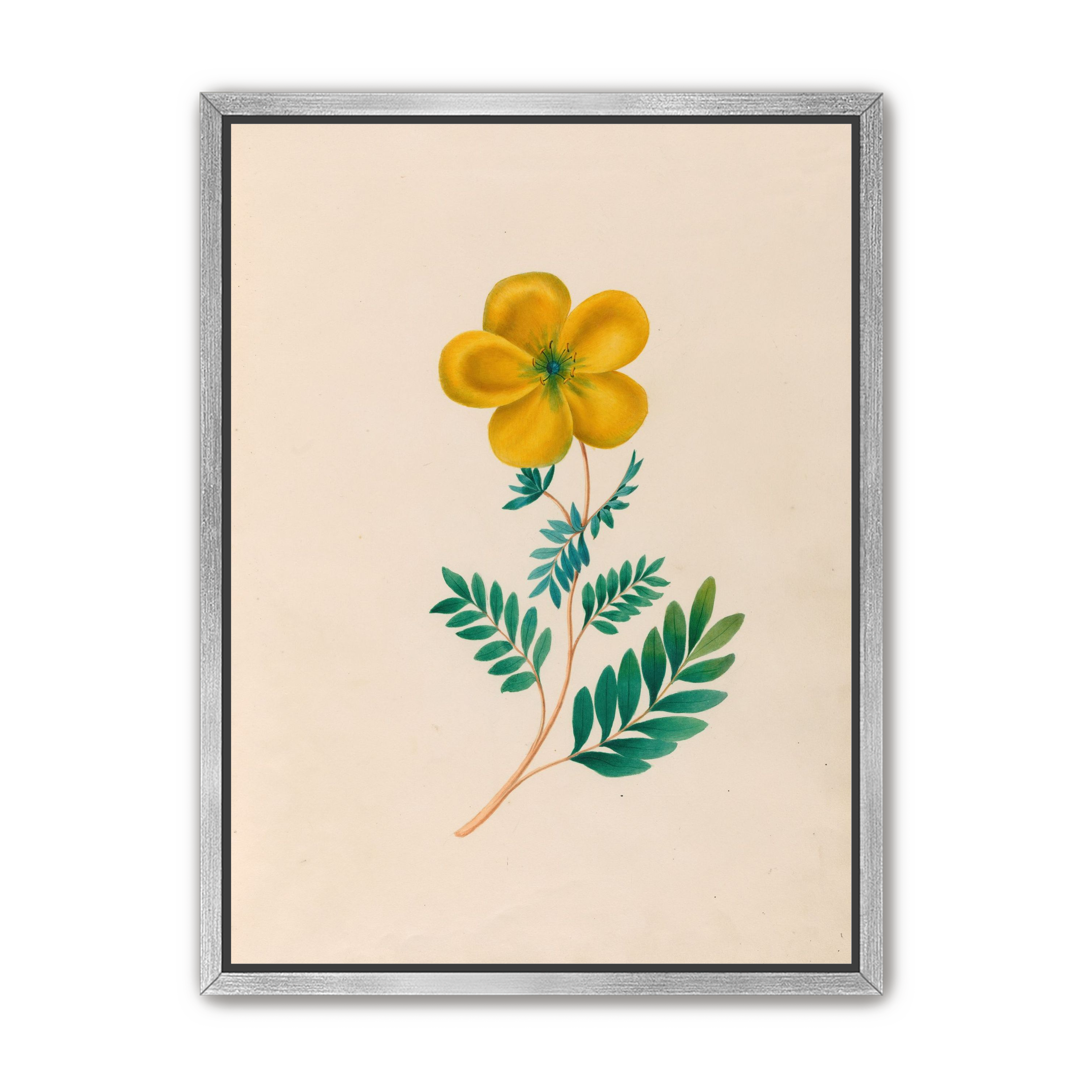 Yellow flower on pale paper