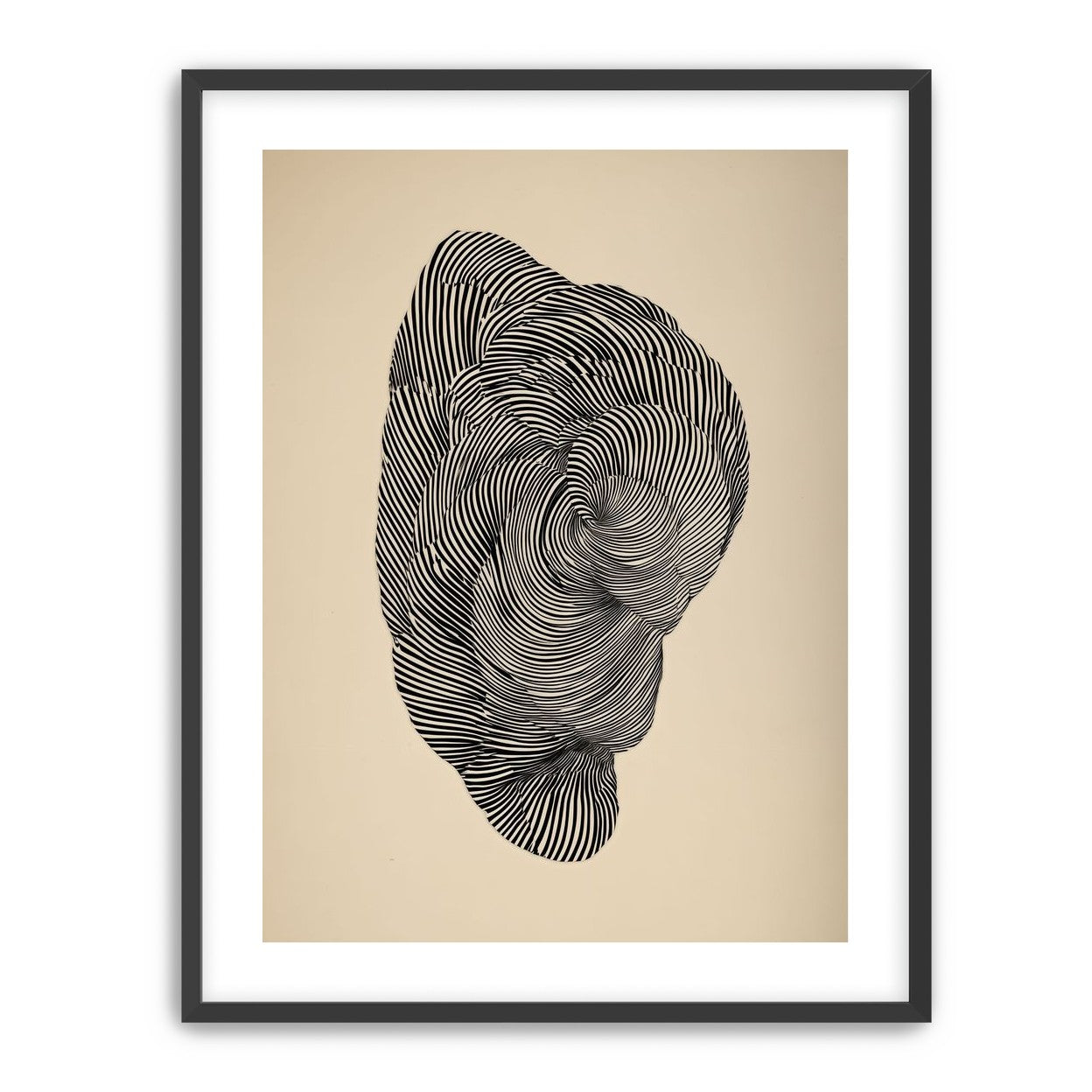 Vortex in a striped head