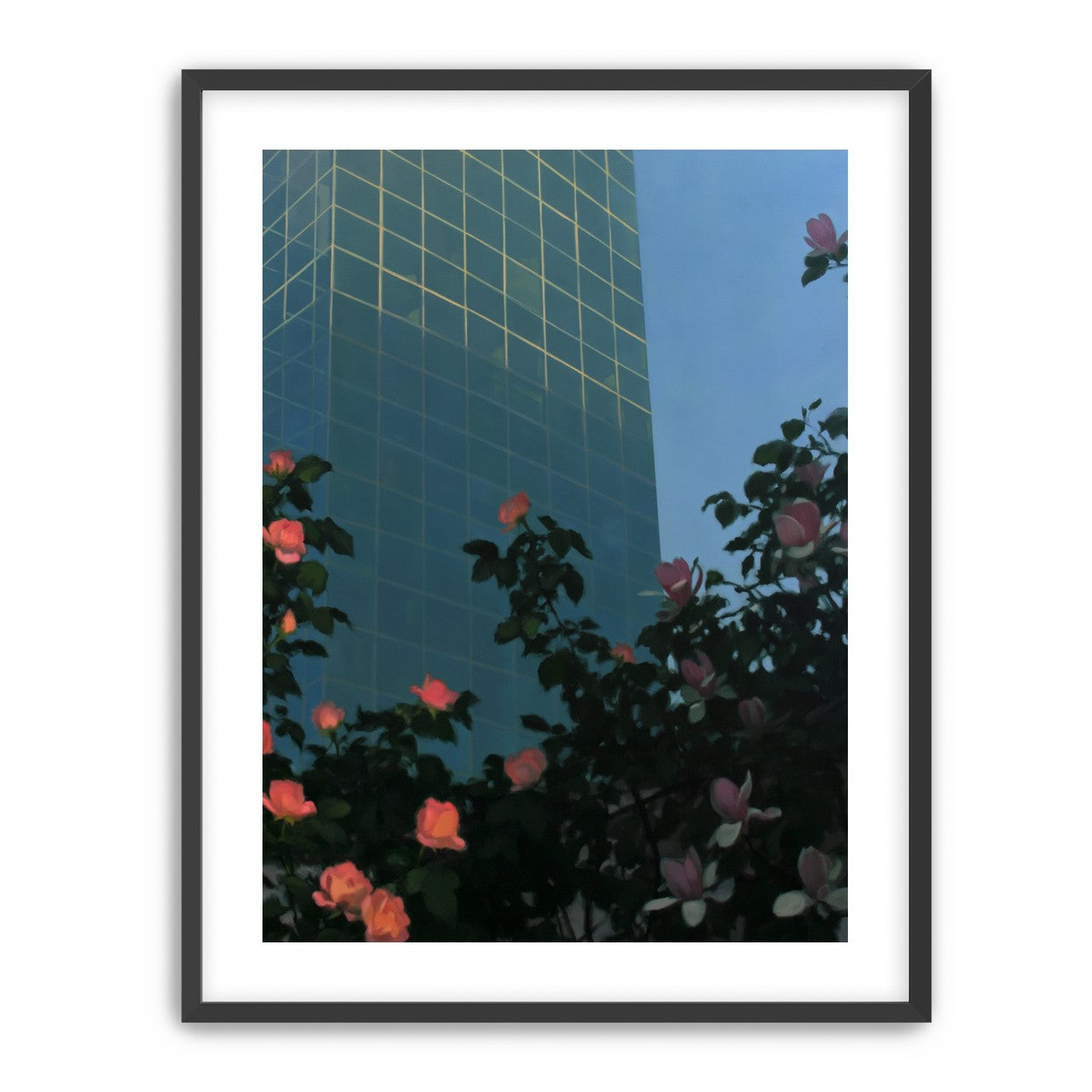 Roses beneath blue towers