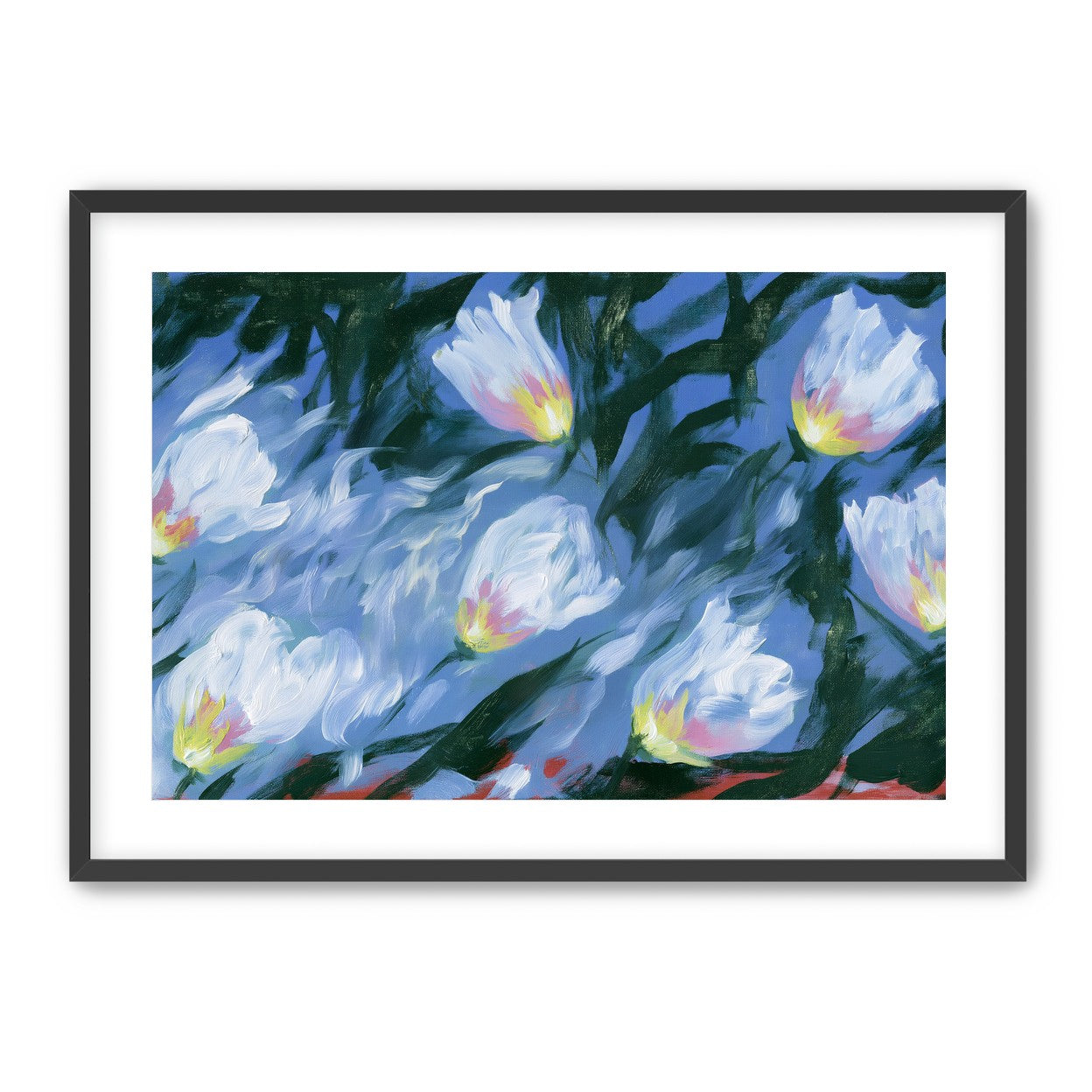 White tulips on blue ground
