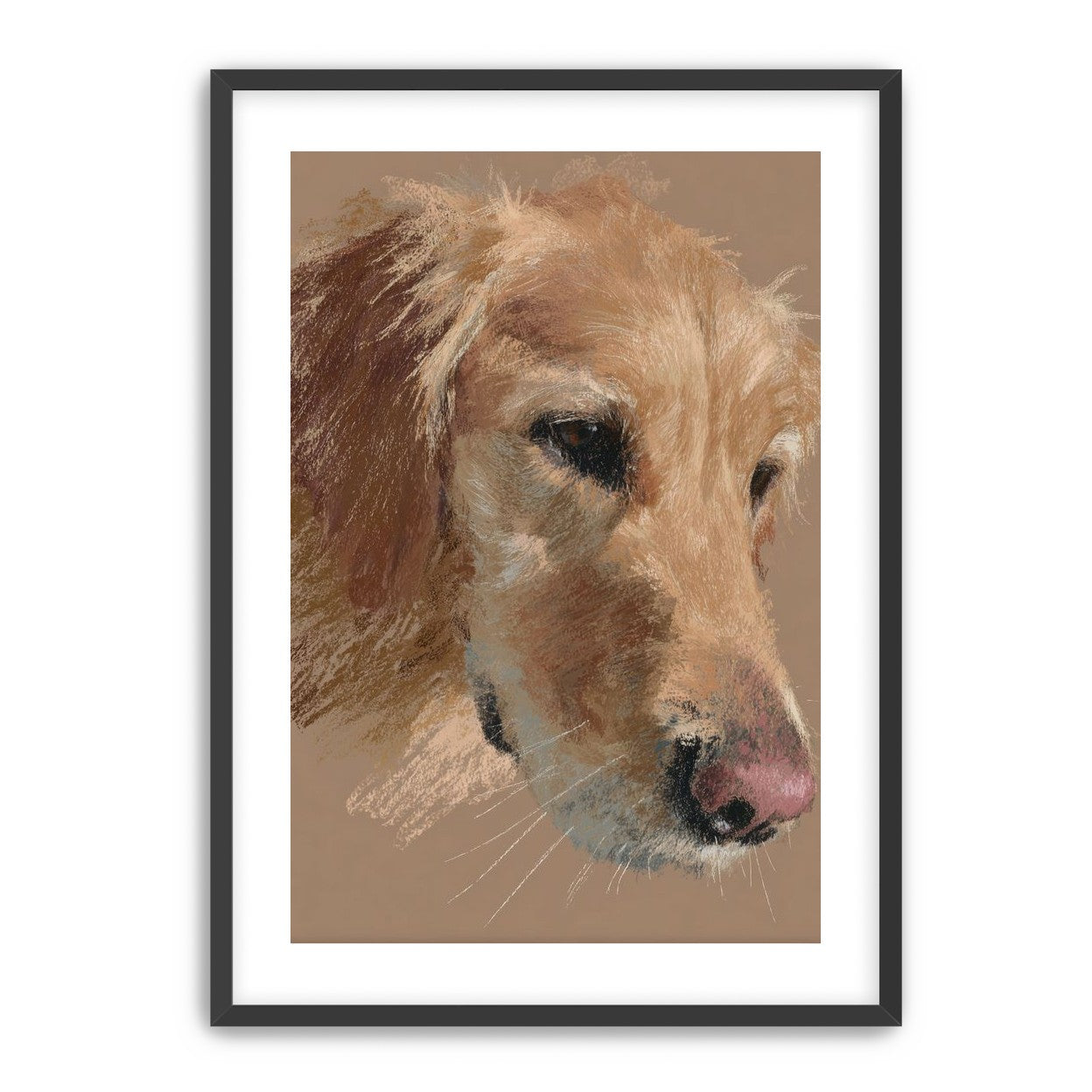 Warm browns on a golden retriever