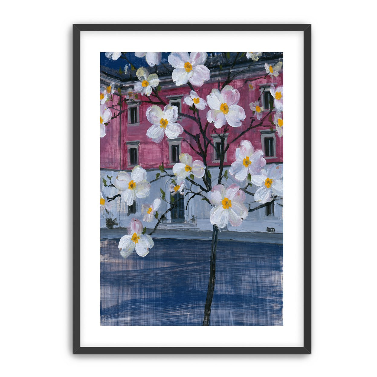 White blossoms over the pink house