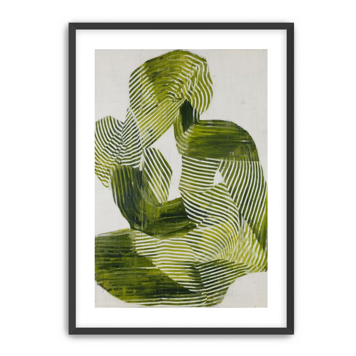 Olive stripes in repose
