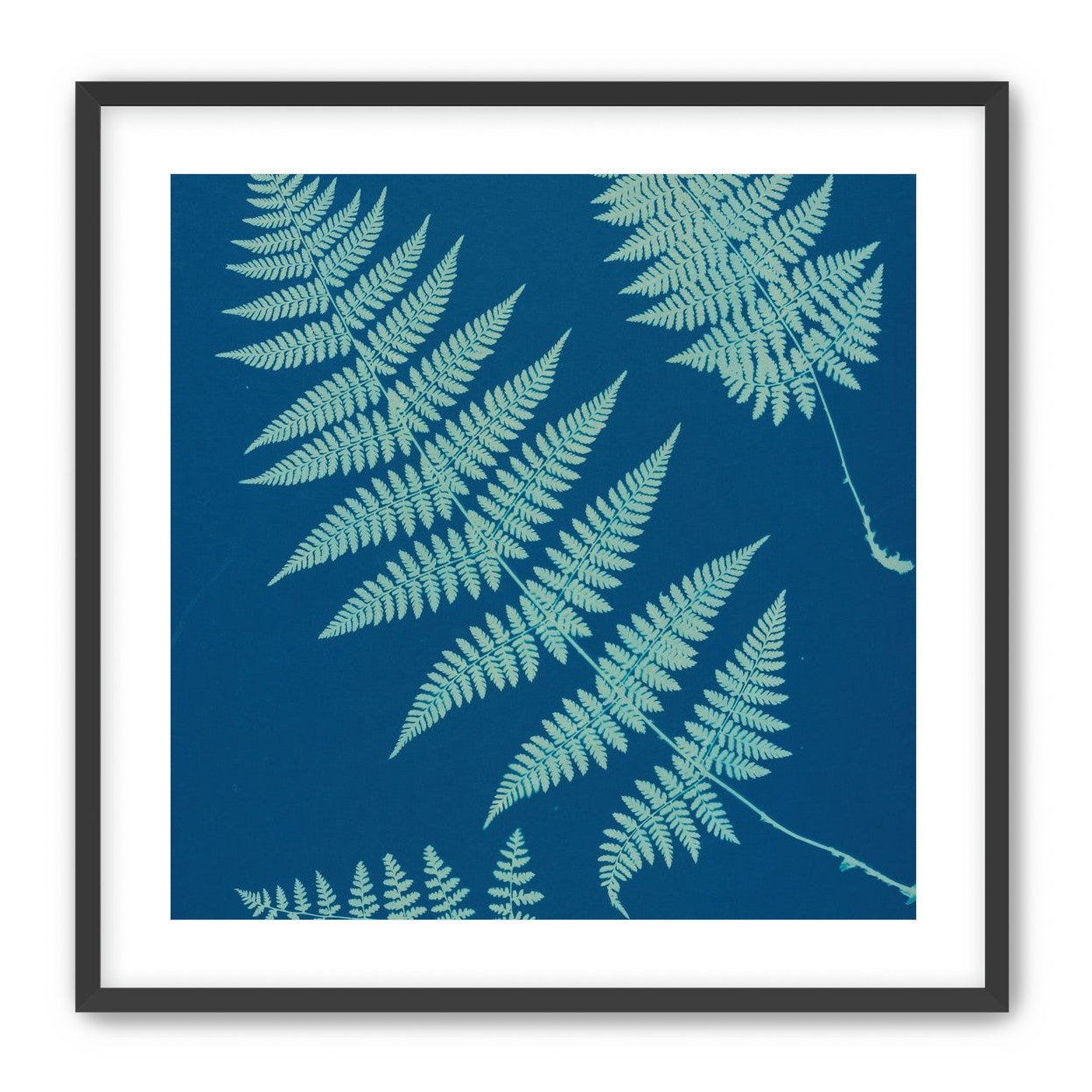 Pale ferns in deep blue