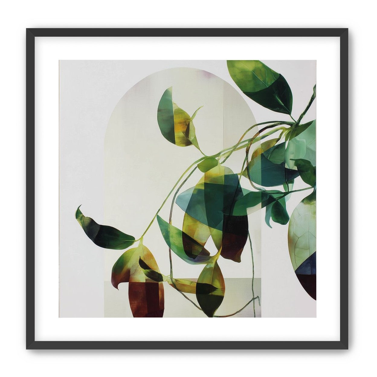Leaves in a pale halo