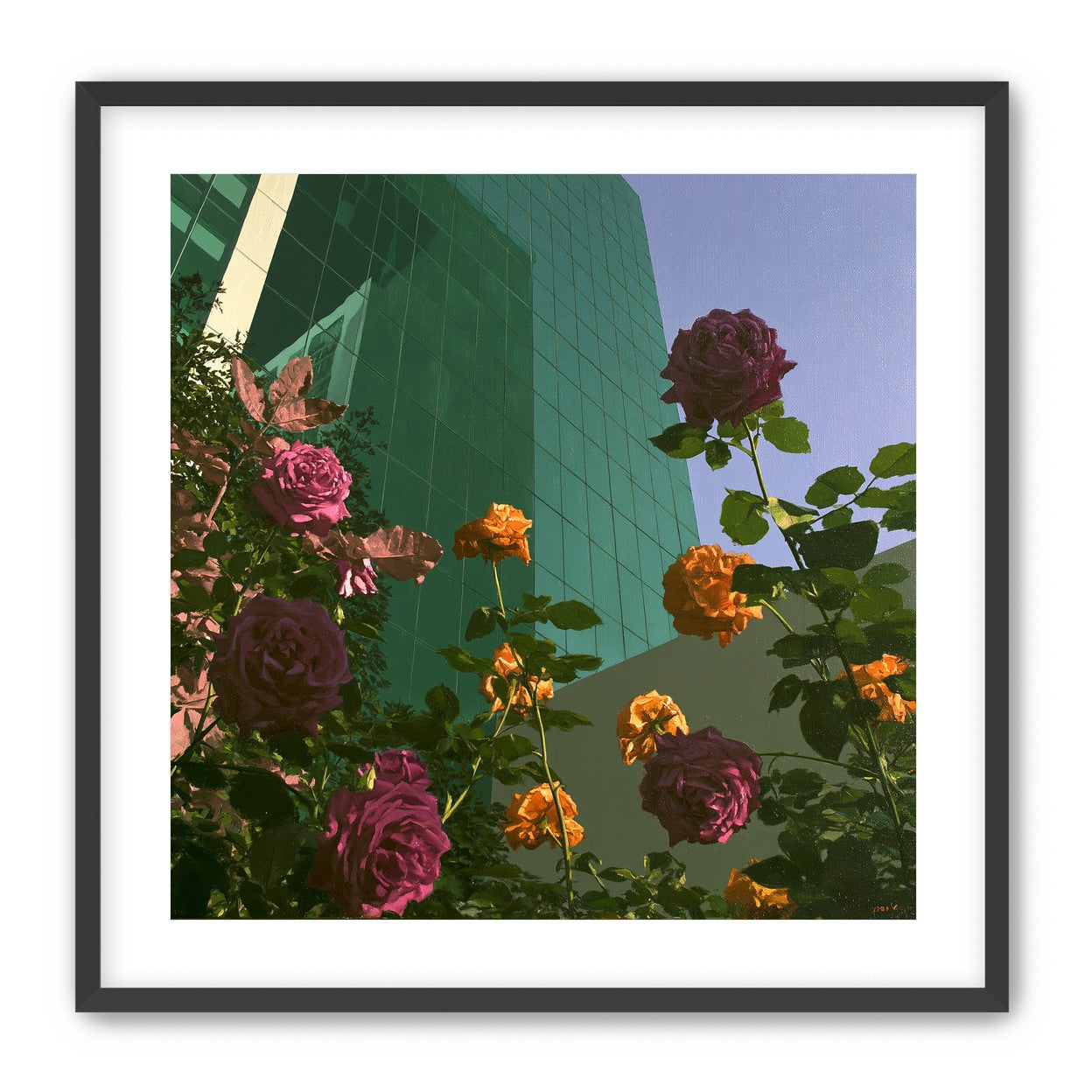 Roses climbing the glass wall