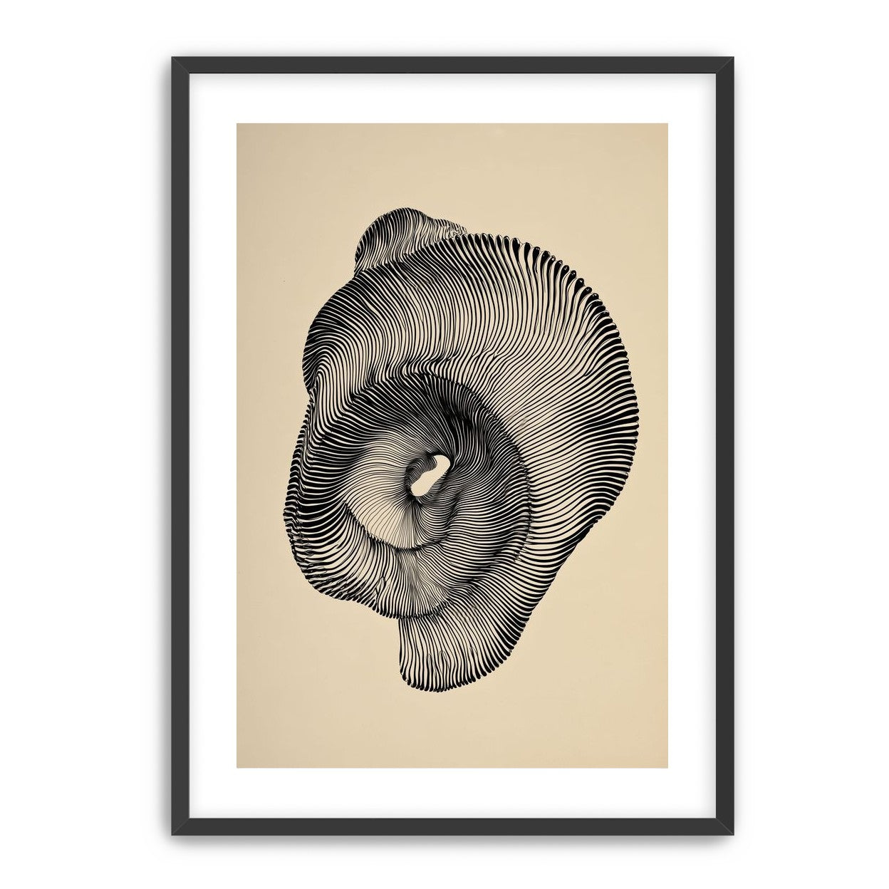 A hollow within black lines
