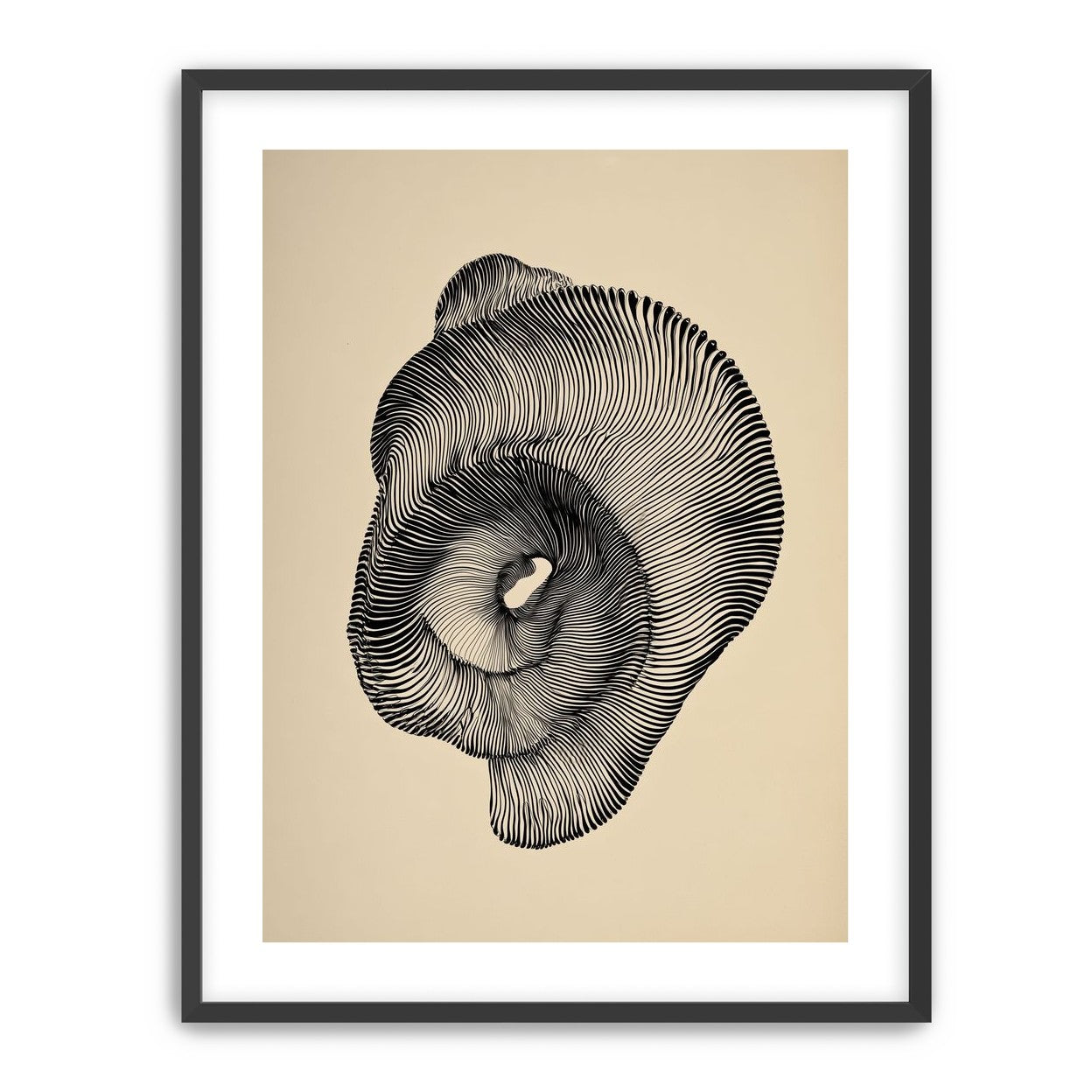 A hollow within black lines