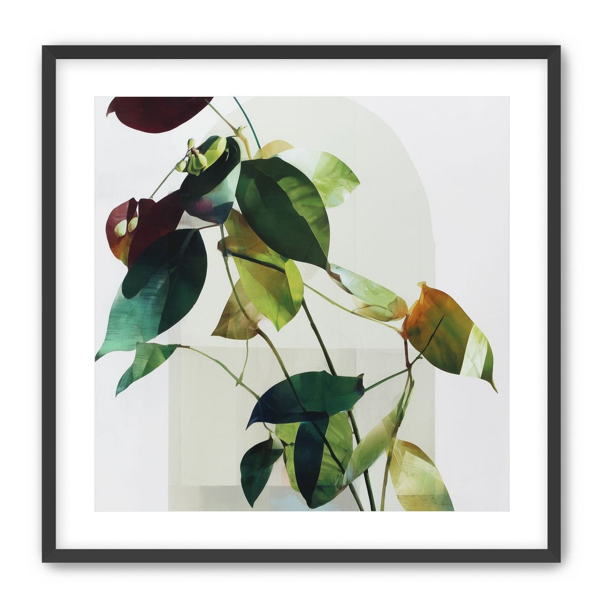 Leaves across a pale arch
