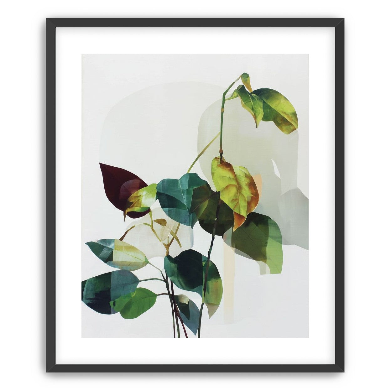 Leaves within pale shadows