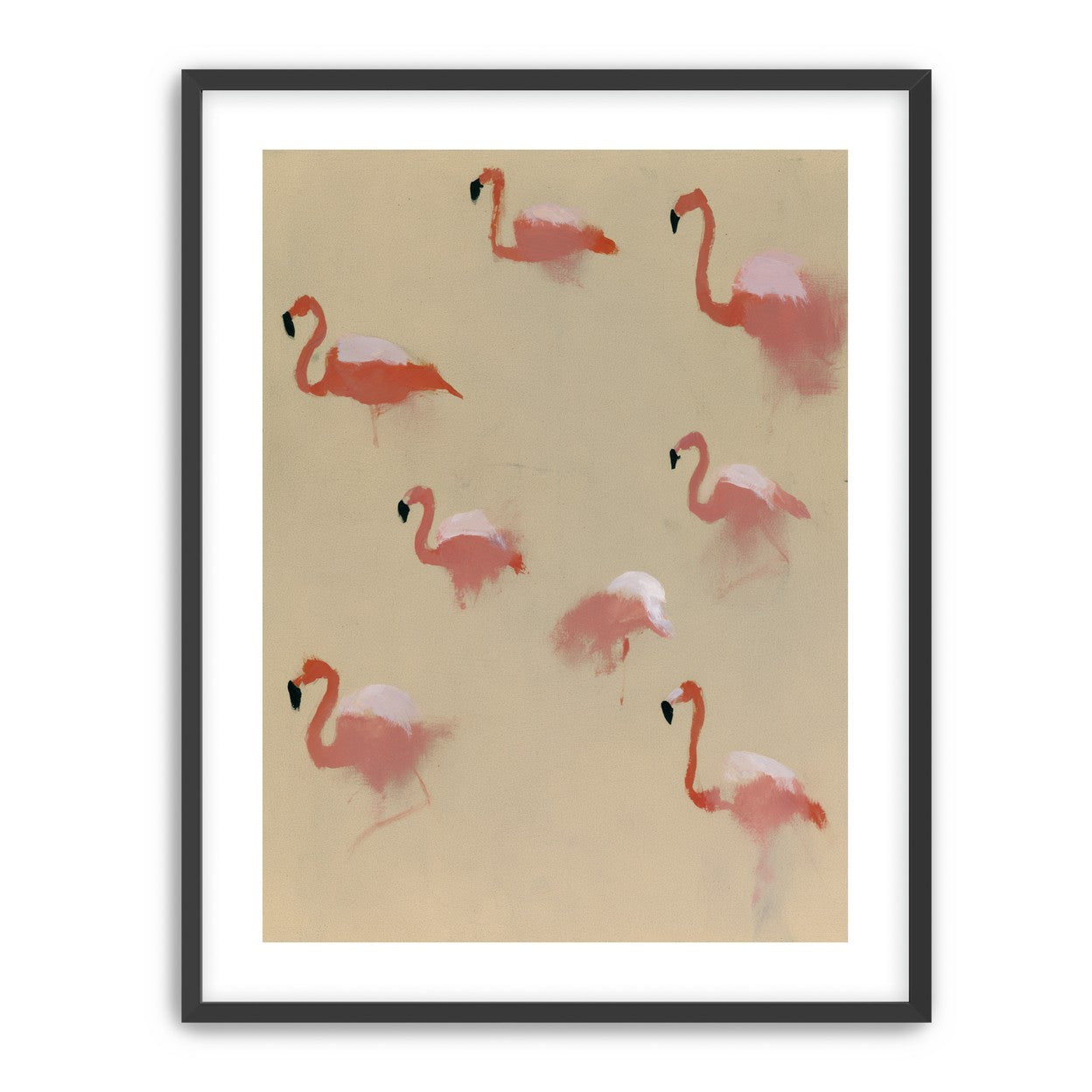 Flamingos in quiet drift
