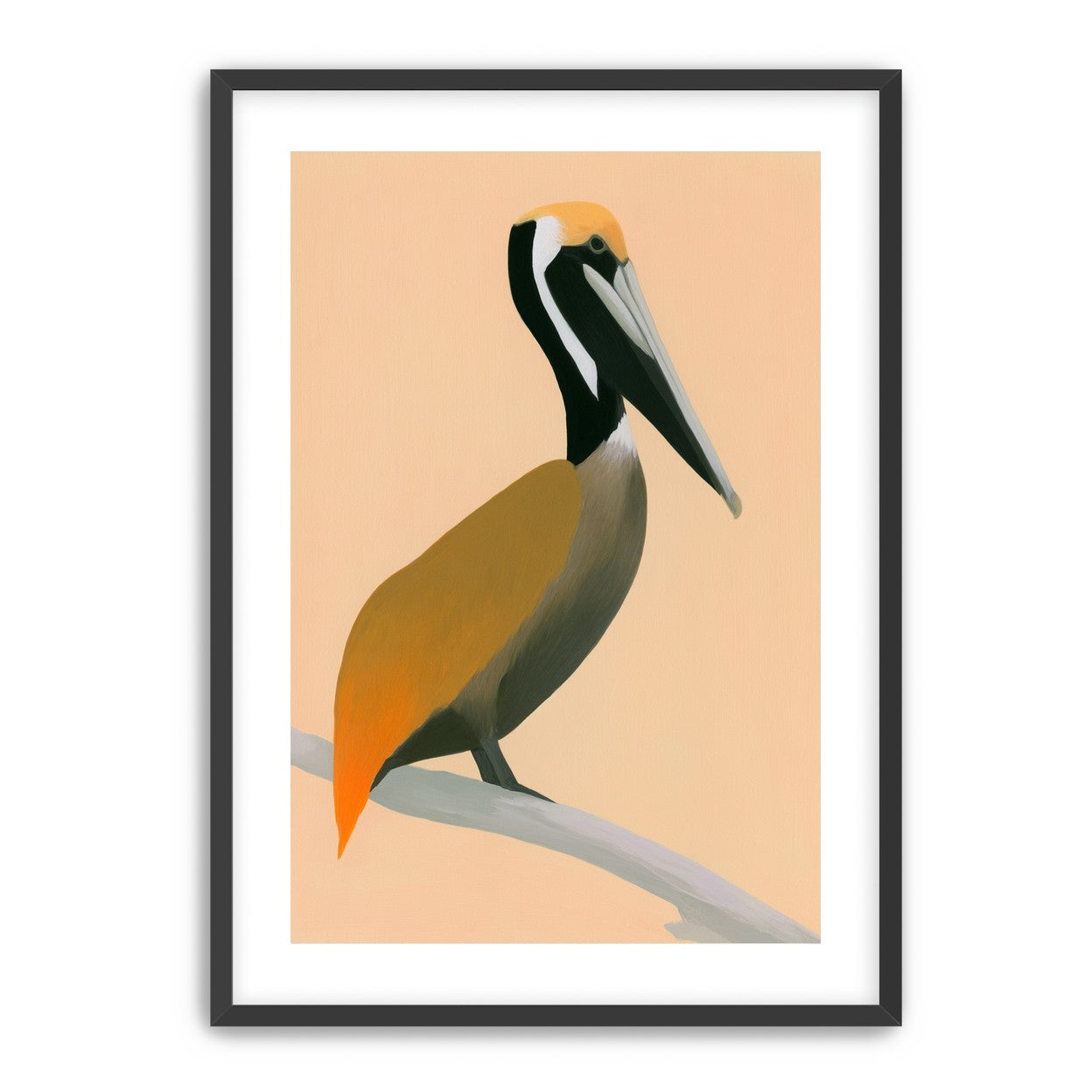Pelican in peach light
