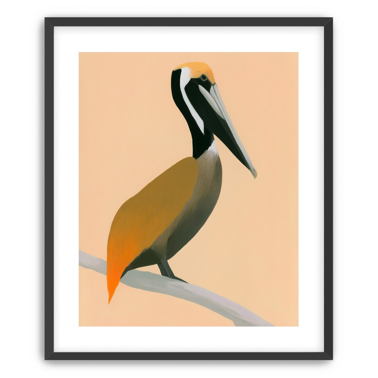 Pelican in peach light