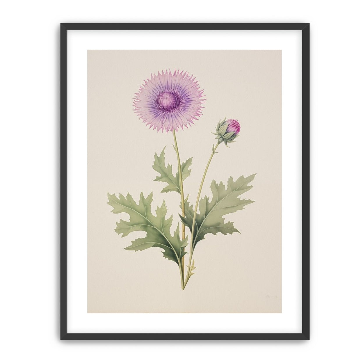 Lavender Radiance