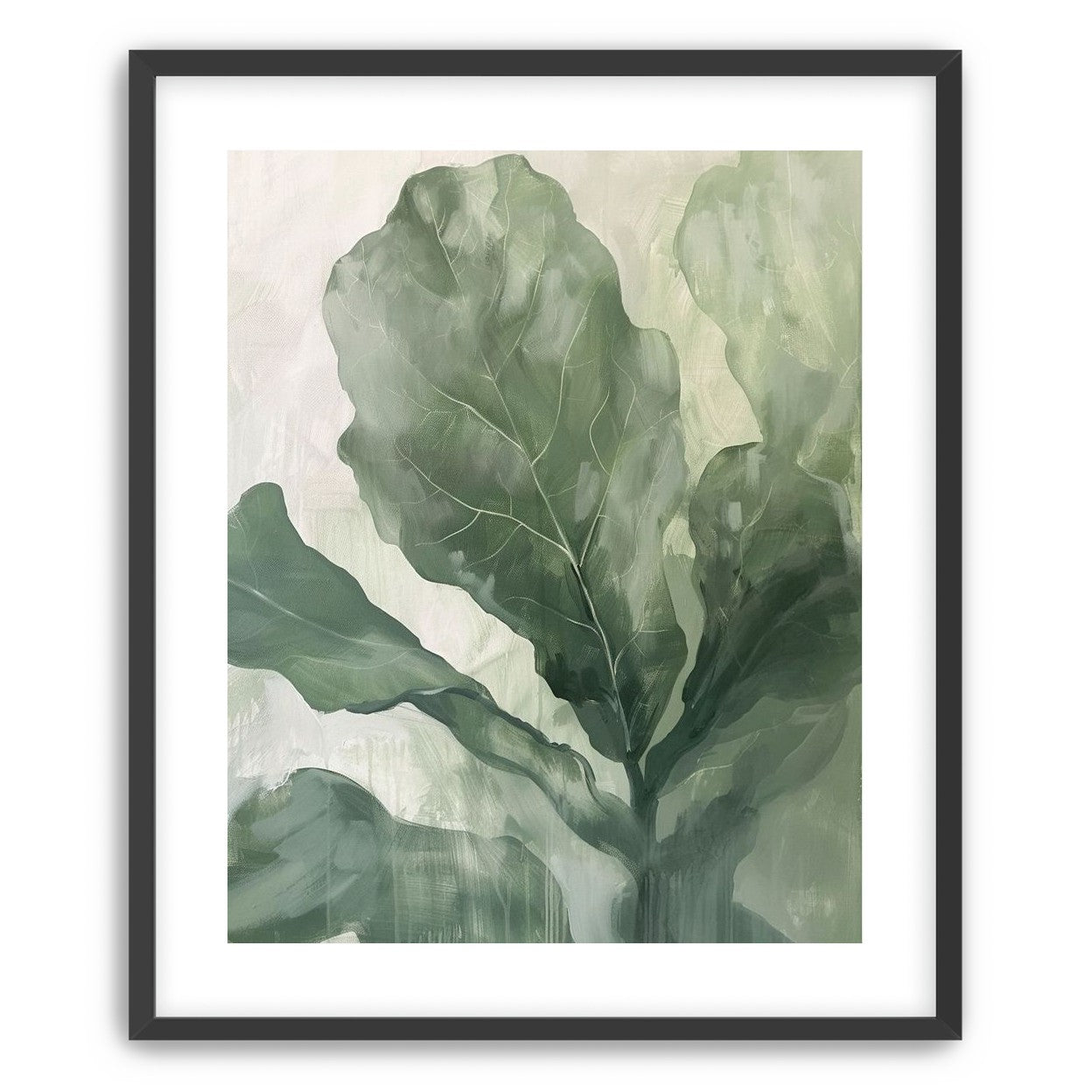 Sage leaves in pale light
