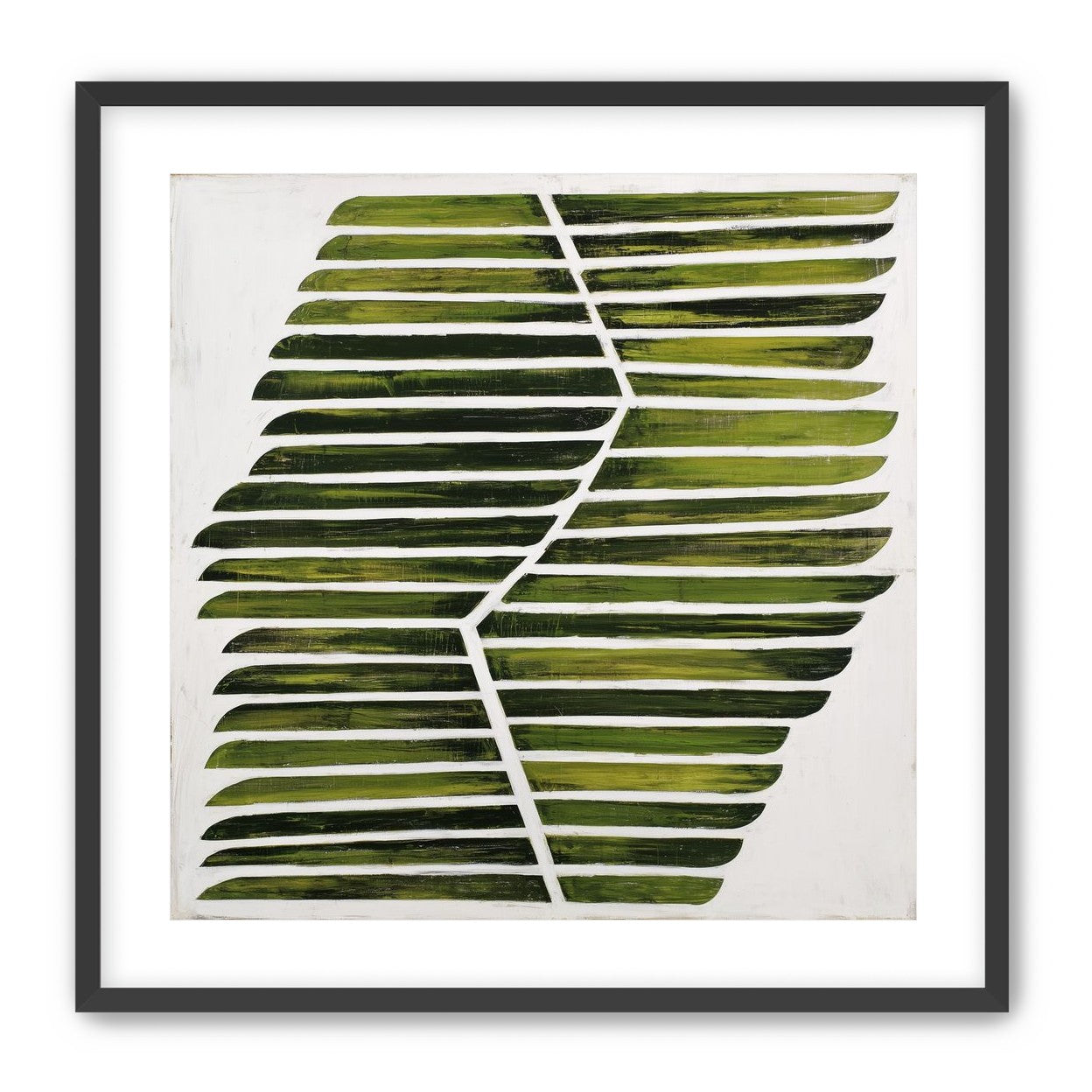 Leaf ribs around a white vein