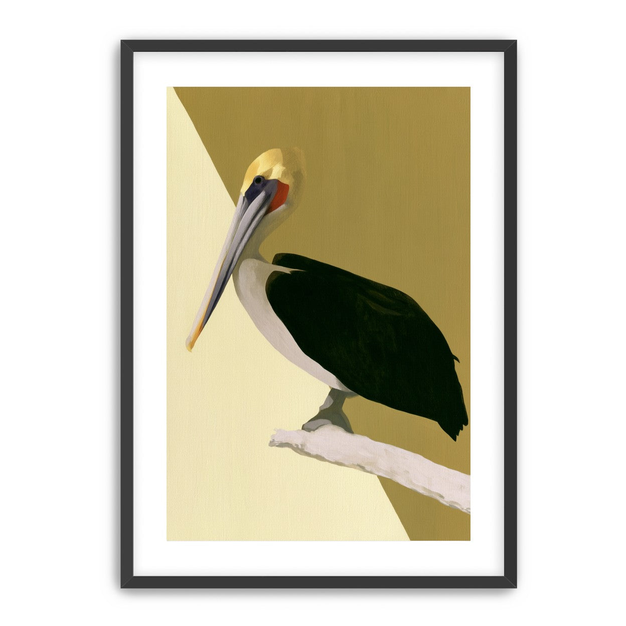 Pelican in quiet balance