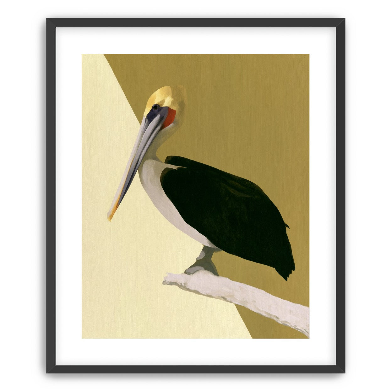 Pelican in quiet balance