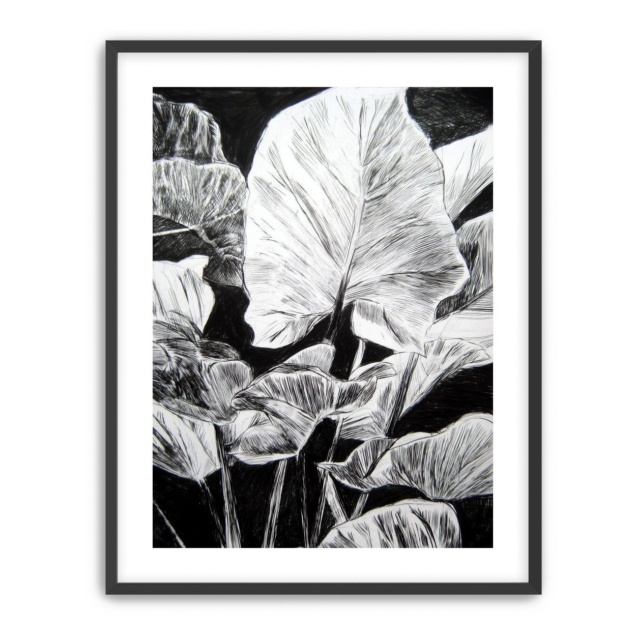 A Cluster of Leaves