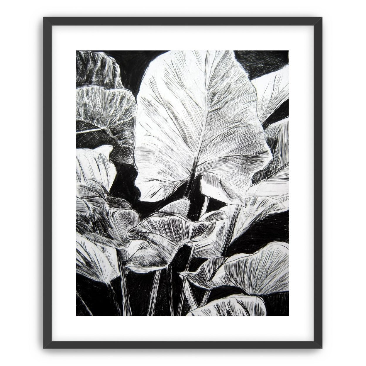 A Cluster of Leaves