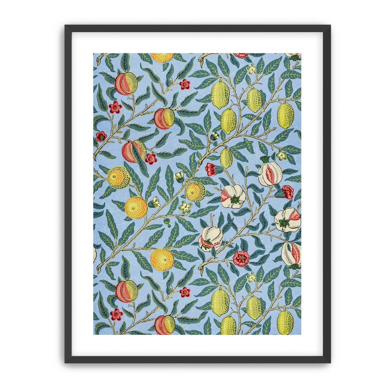 Fruits on the Vine