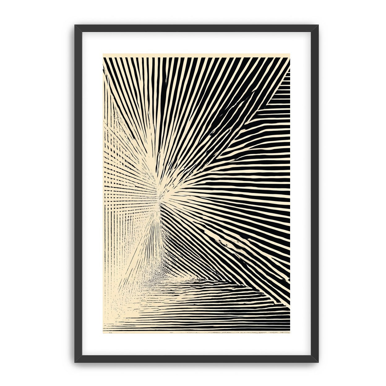 Convergence within black stripes
