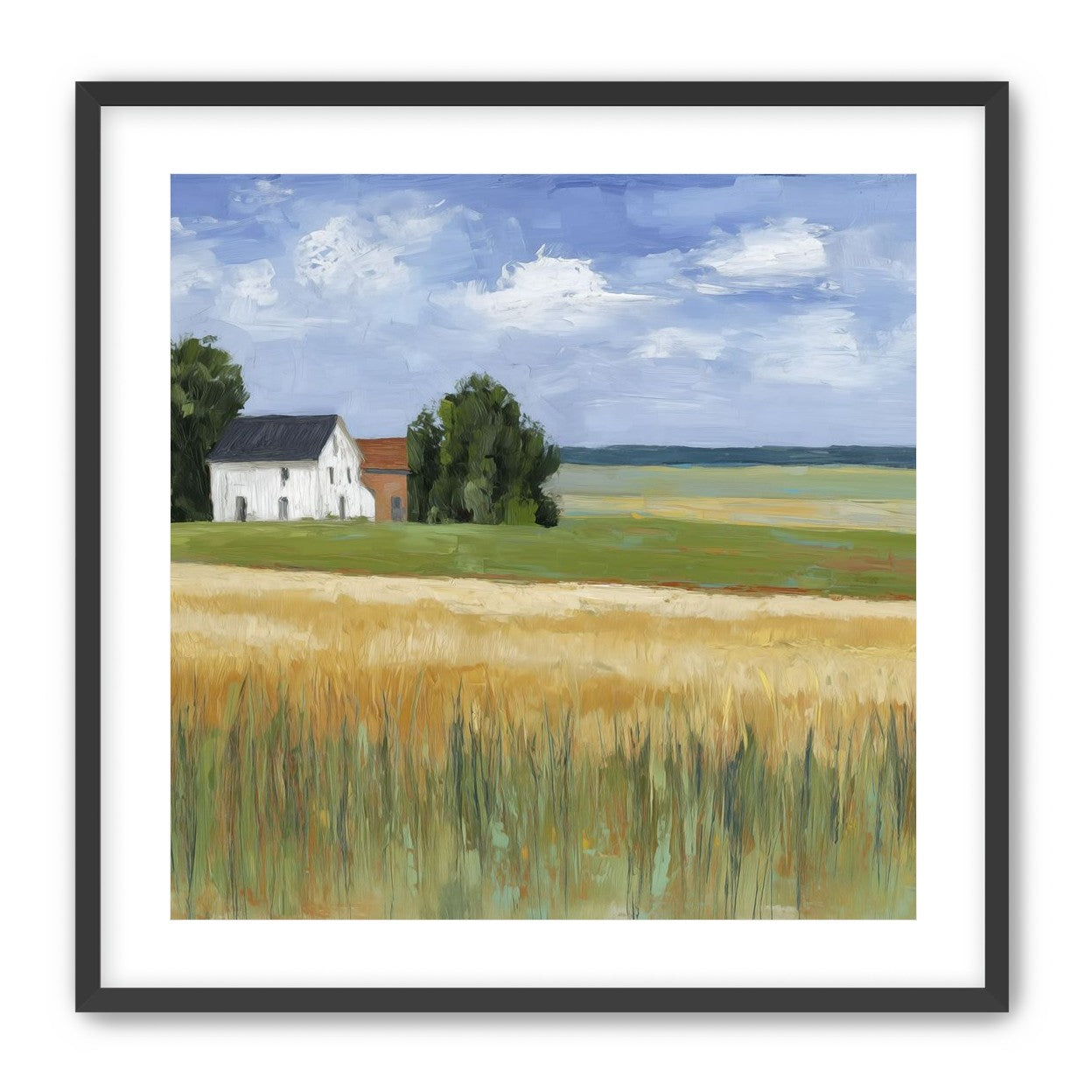 Grain Field Under Sun