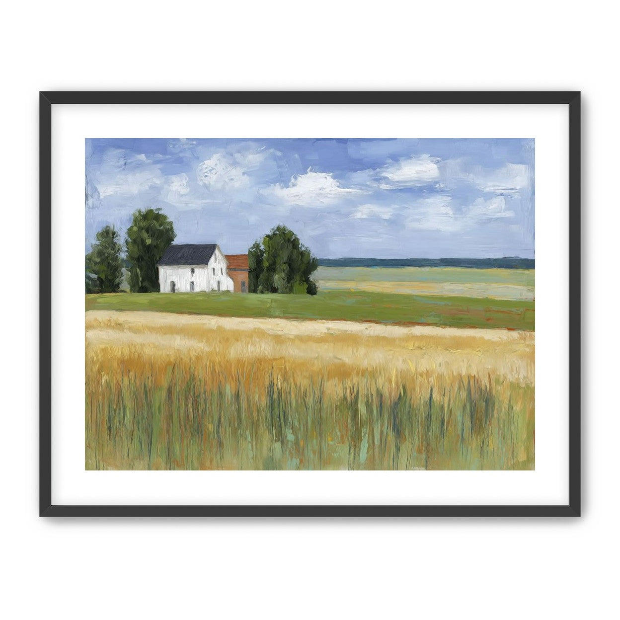 Grain Field Under Sun