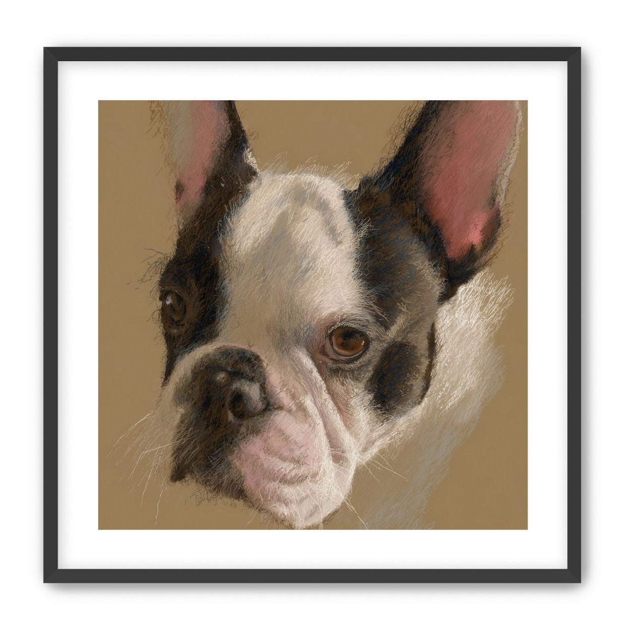 Close portrait with upright ears