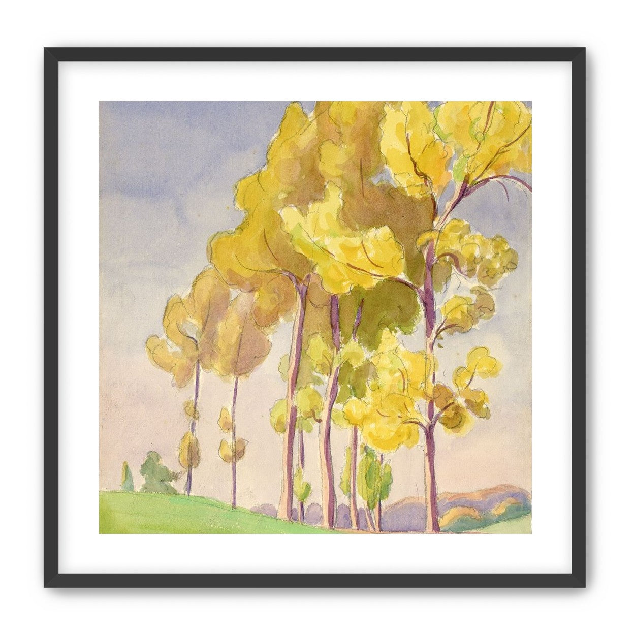 Yellow crowns on the hill