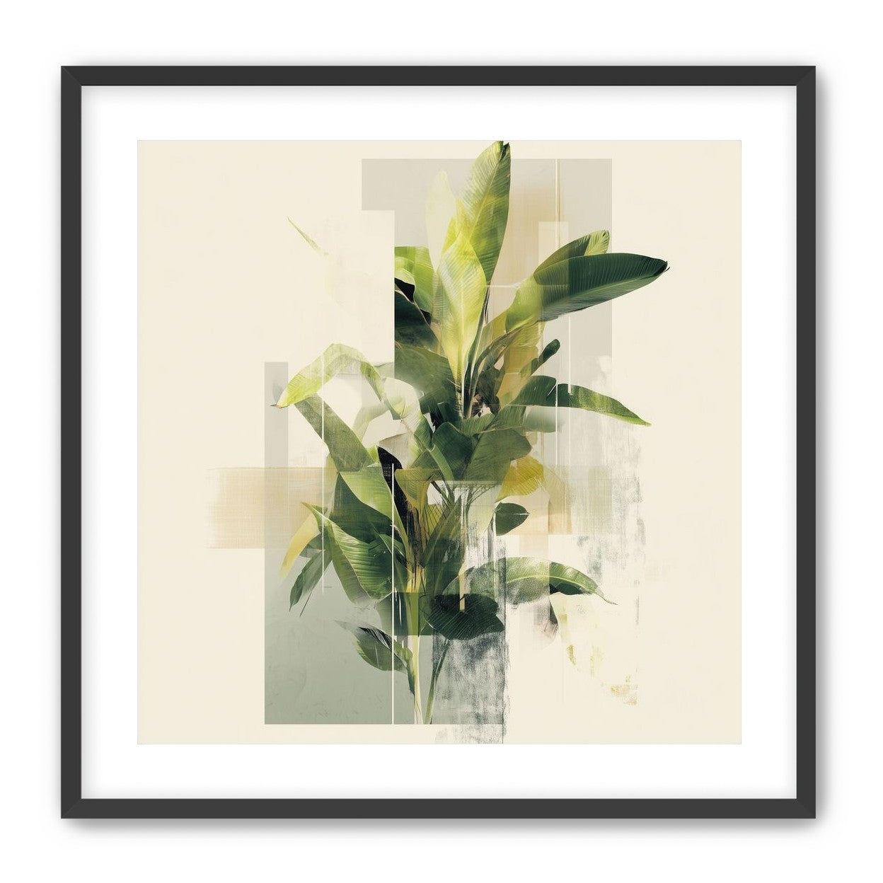 Plant in layered light