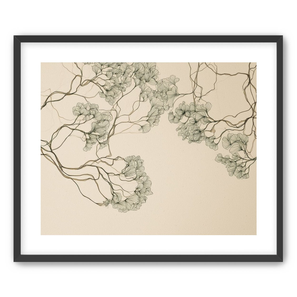 Trees Drawn in Continuous Lines