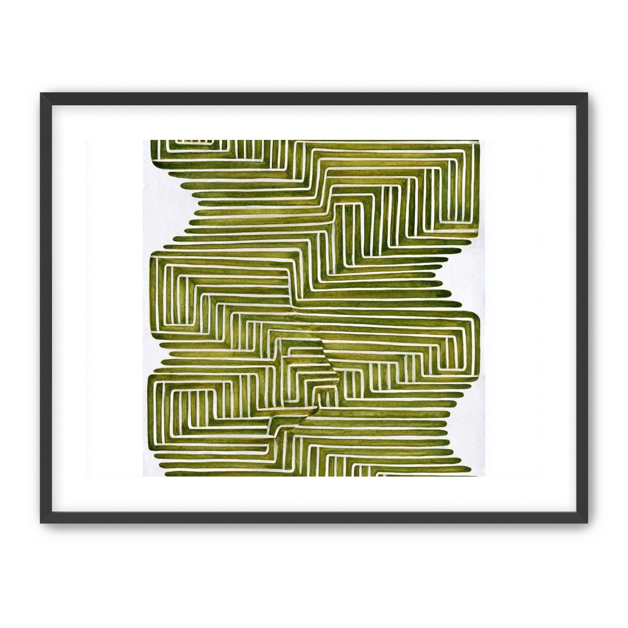 Olive bands in white quiet