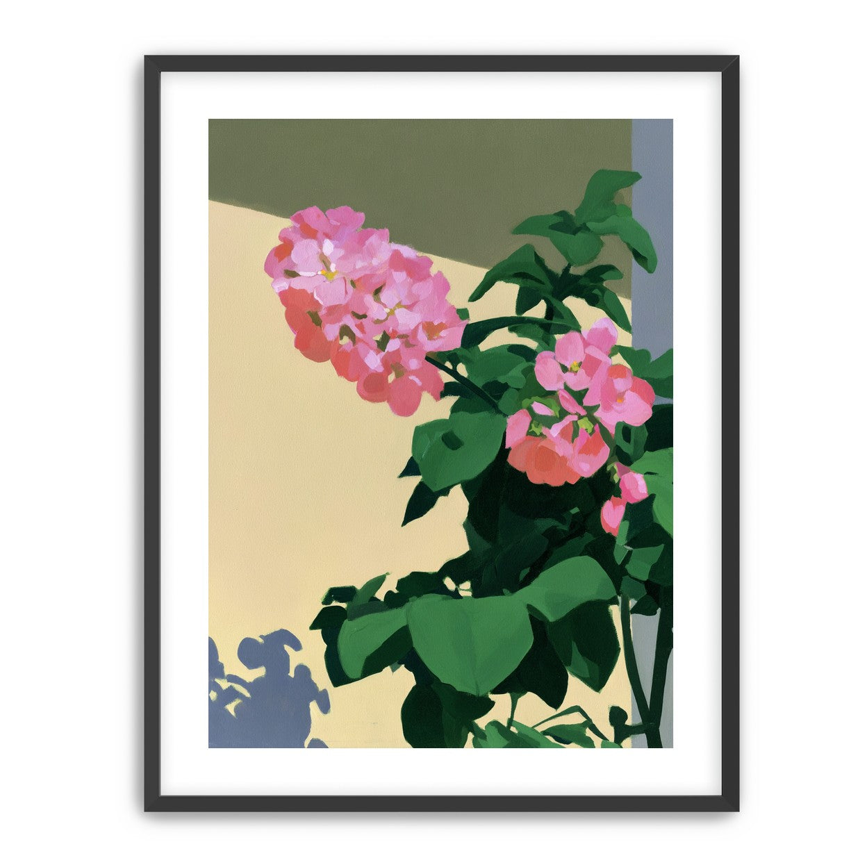 Pink blooms in hard light