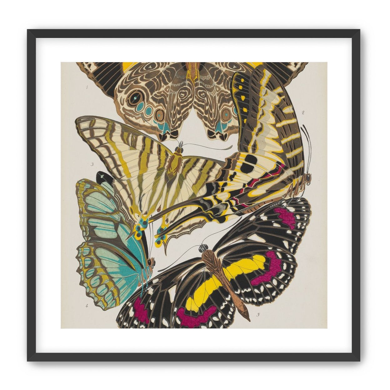 Butterflies among blank paper
