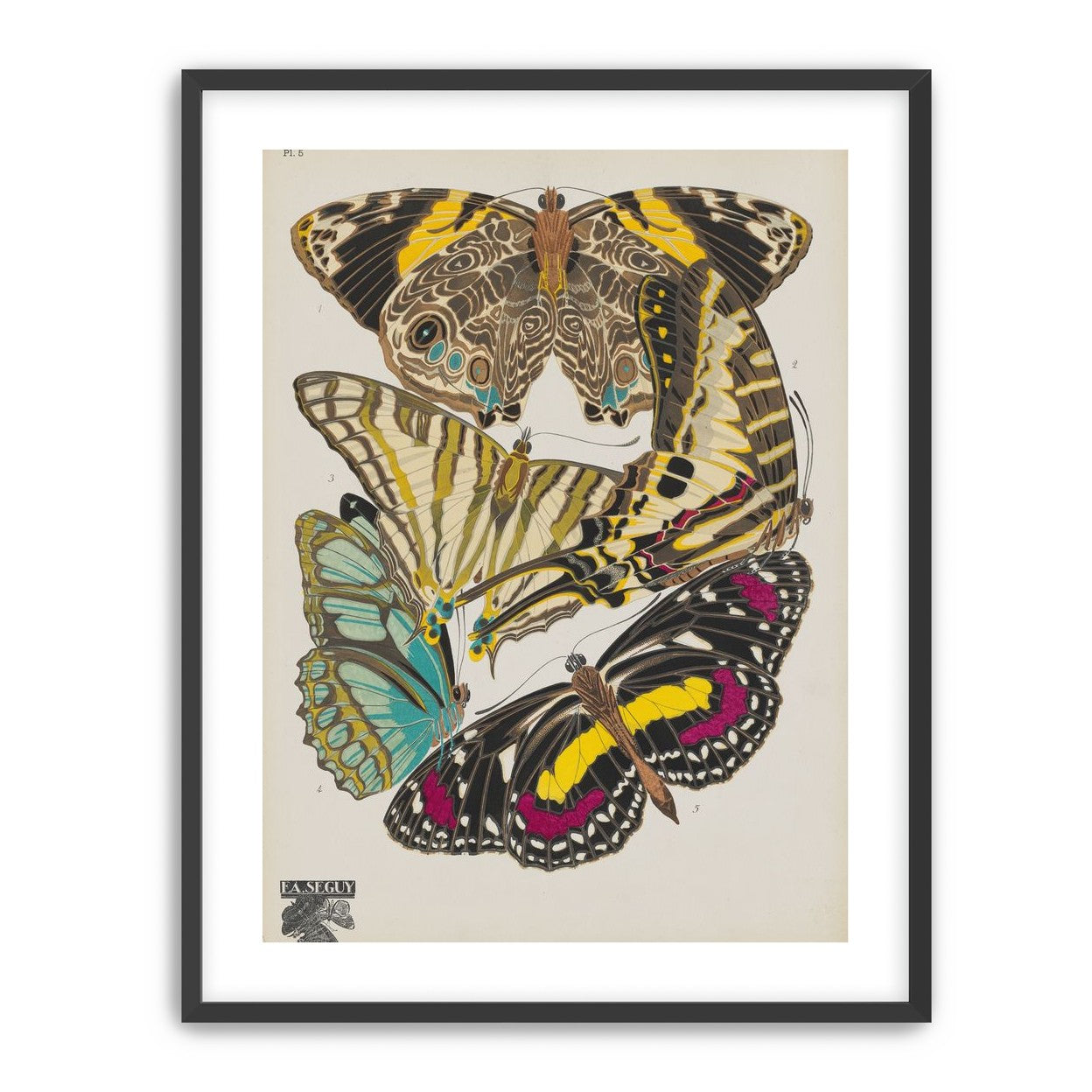 Butterflies among blank paper