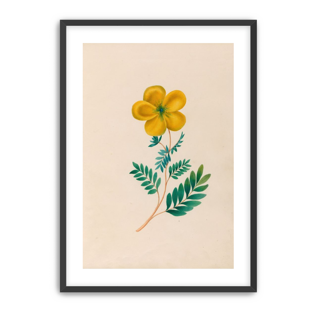 Yellow flower on pale paper