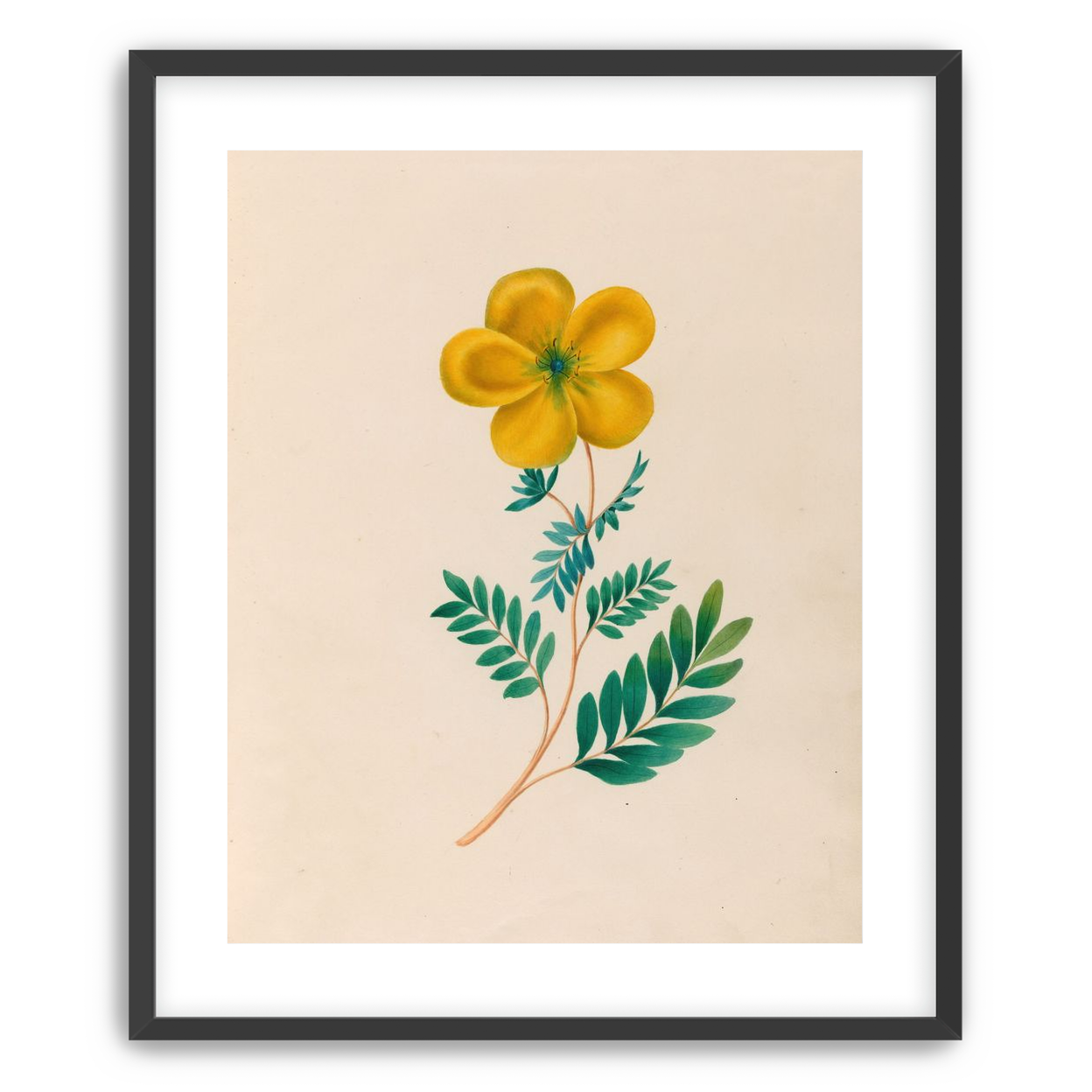 Yellow flower on pale paper