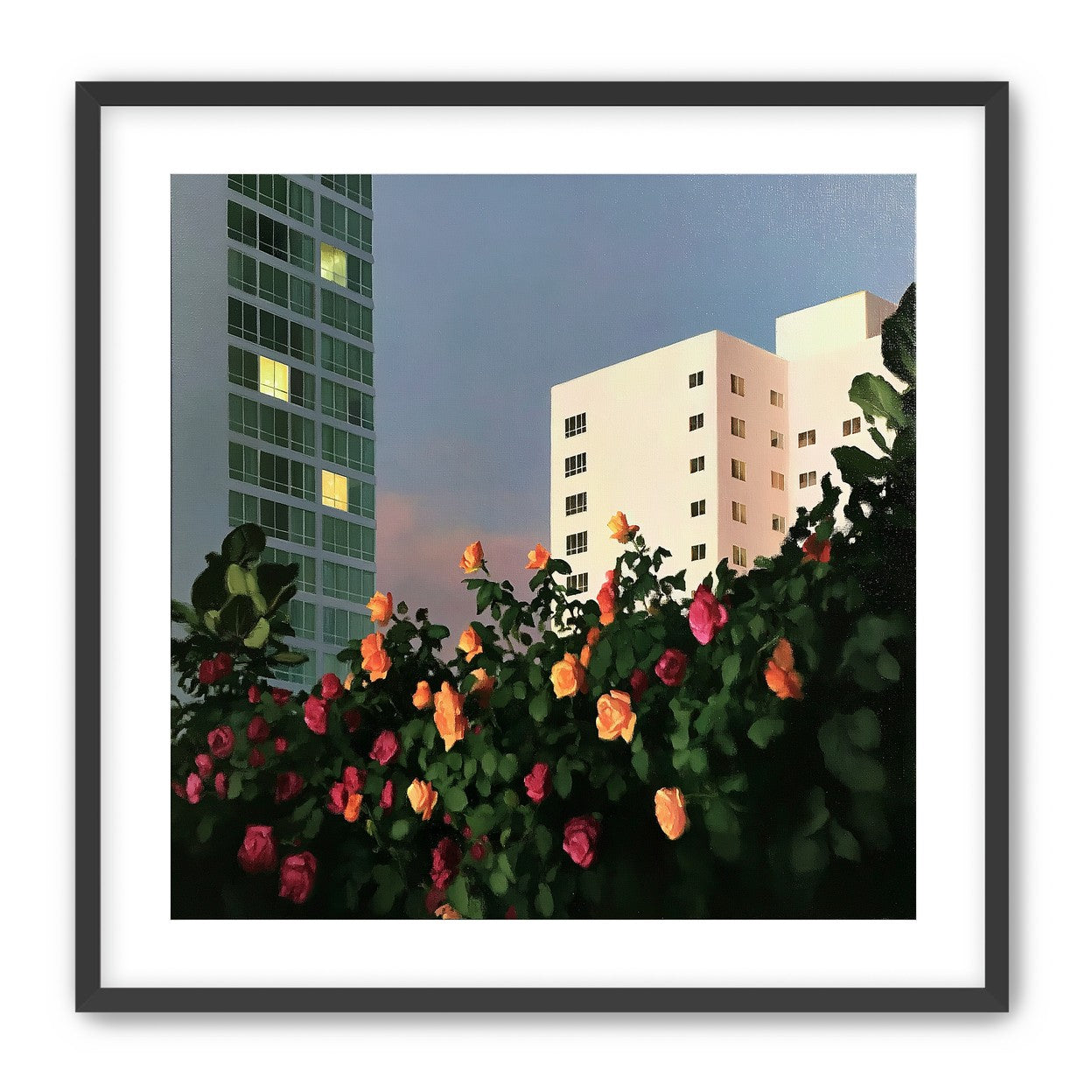 Roses below lit windows