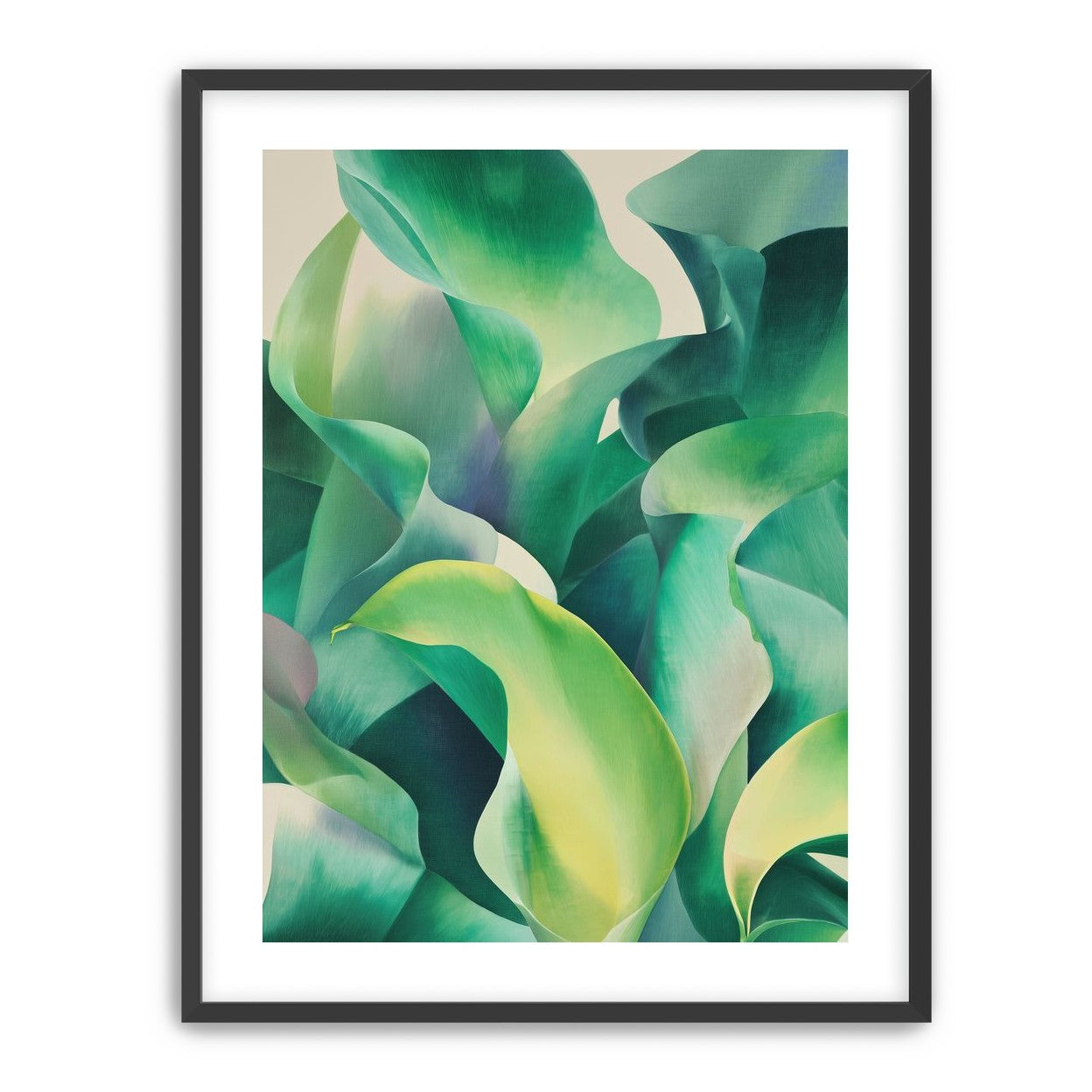 Calla lilies crowd the light