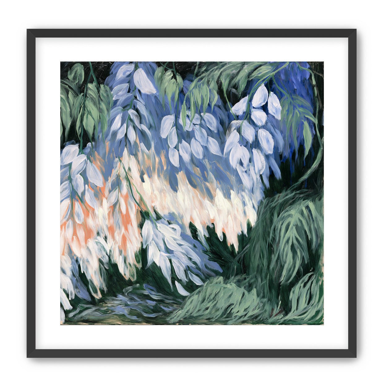 White blossoms in blue shade