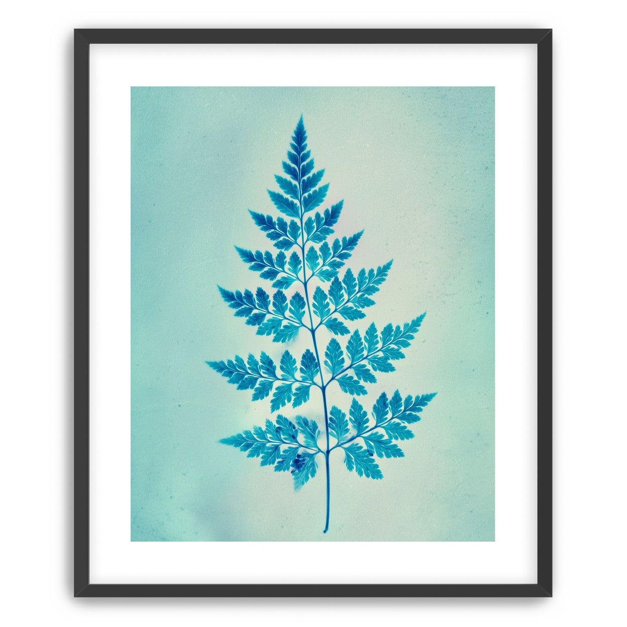 stems and leaves