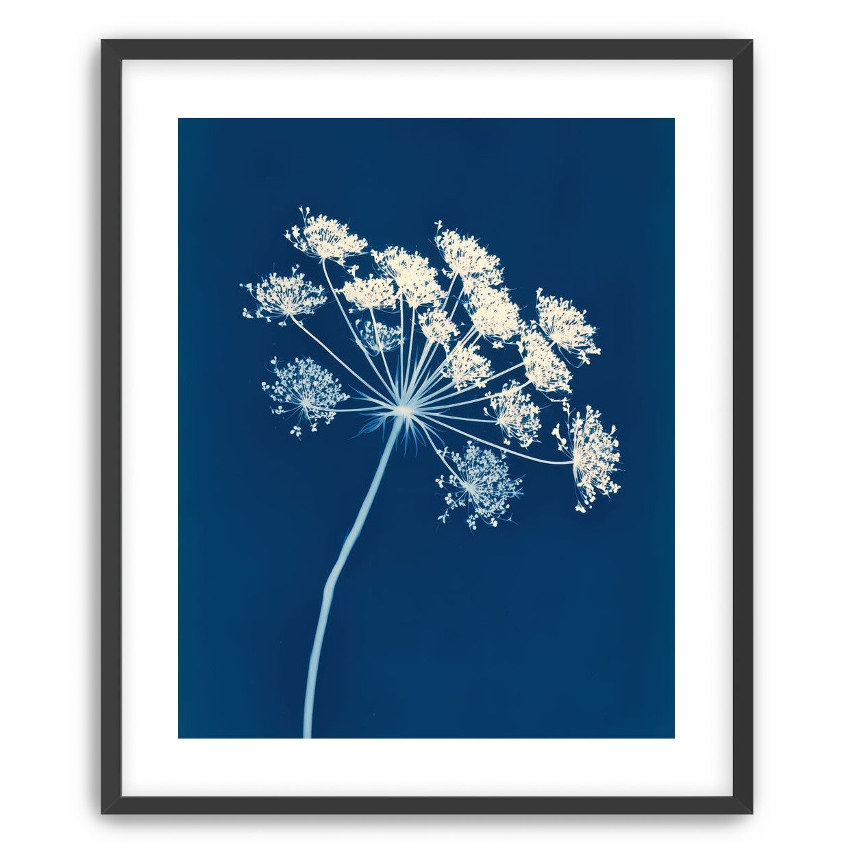 Midnight Bloom