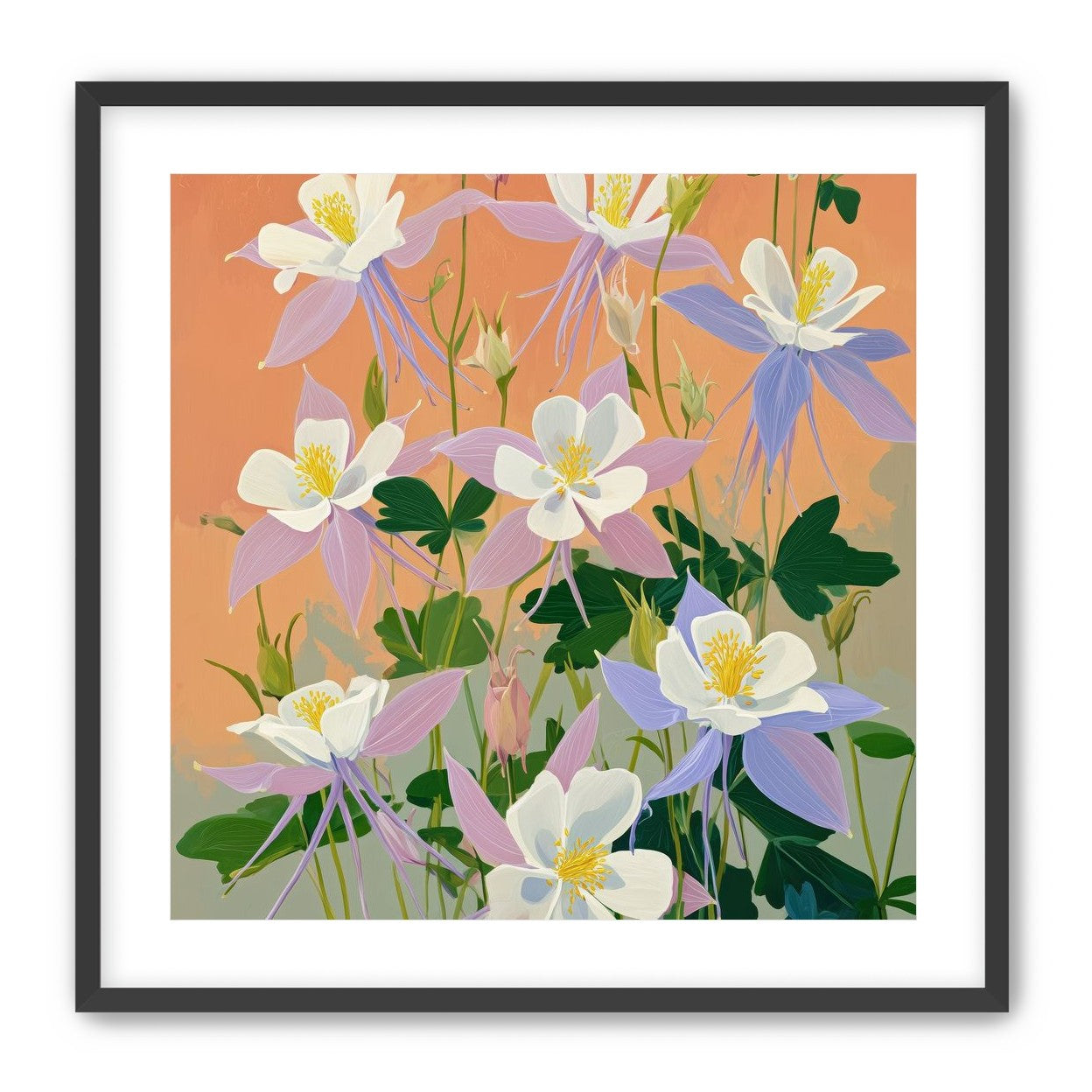 Columbines in Bloom